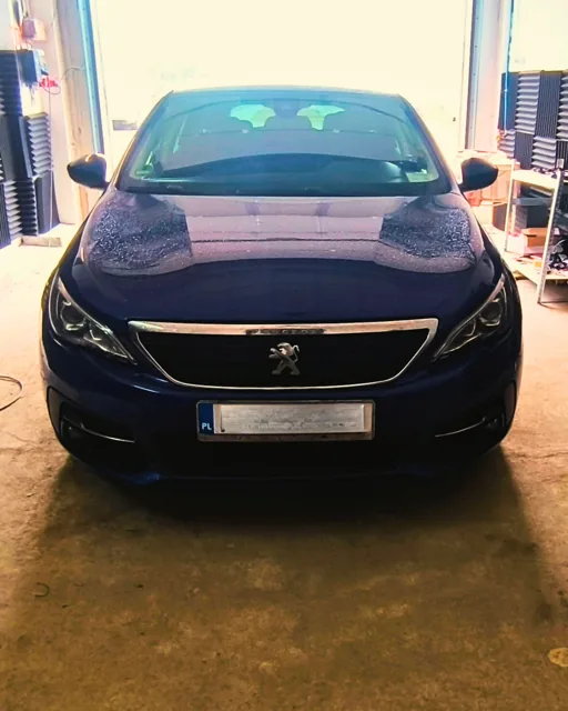 Profesjonalne wyłączenie AdBlue – Peugeot 308
